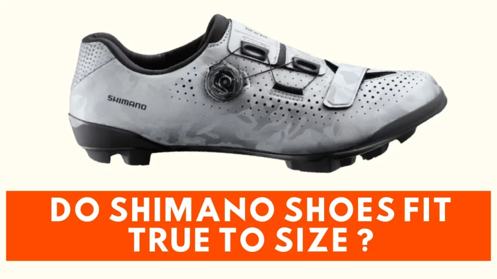 DO SHIMANO SHOES FIT TRUE TO SIZE